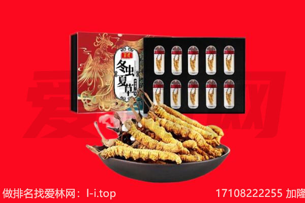 开封祥符区回收虫草.jpg
